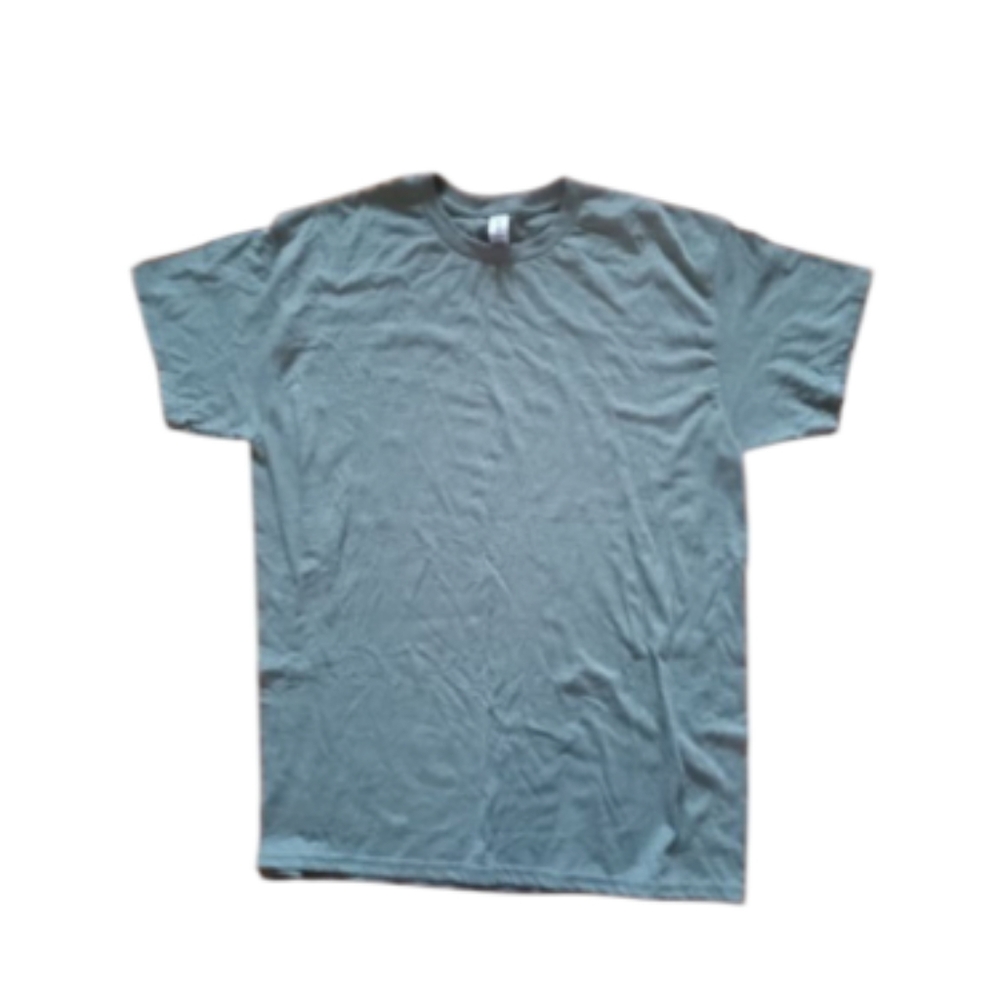 Mens Gildan Short Sleeve Tee Green NWOT